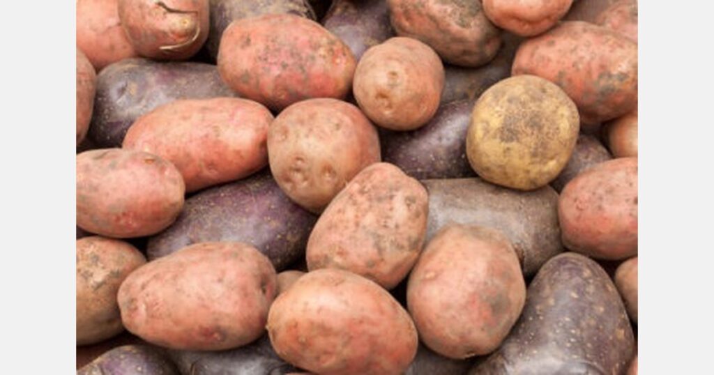 Egypt, India, and China are processing more potatoes, and Northwest Europe is feeling it