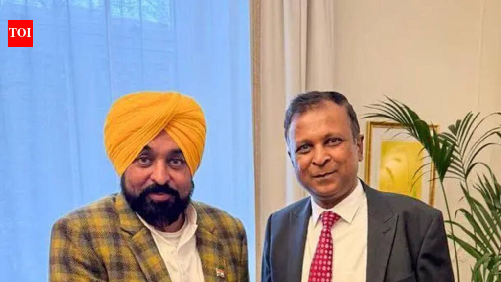 CM Mann engages with Punjabi diaspora in Finland | Chandigarh News CM Mann engages with Punjabi diaspora in Finland | Chandigarh News