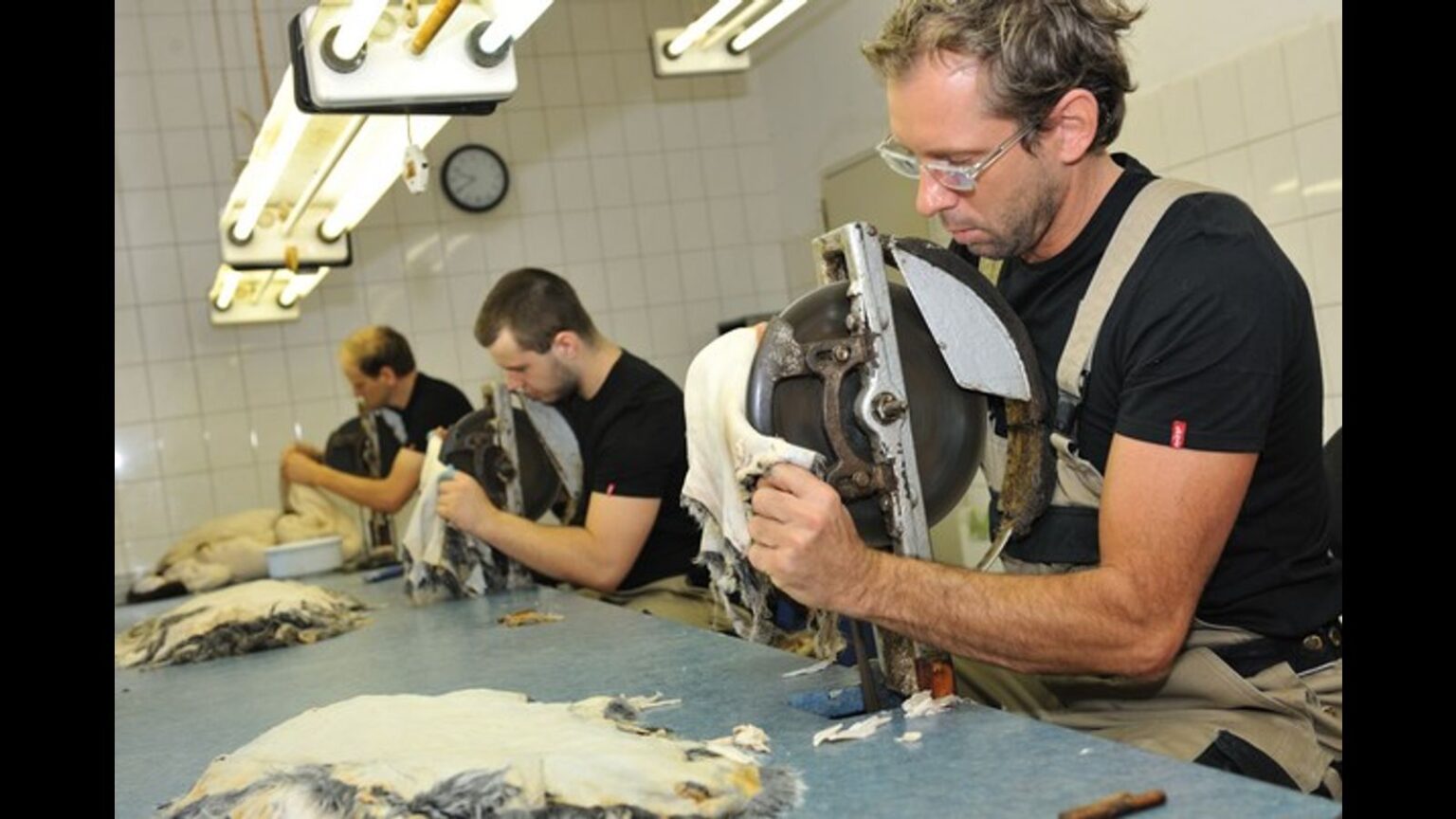 Hesse, Germany: 4 tannery workers killed in workplace accident Hesse, Germany: 4 tannery workers killed in workplace accident