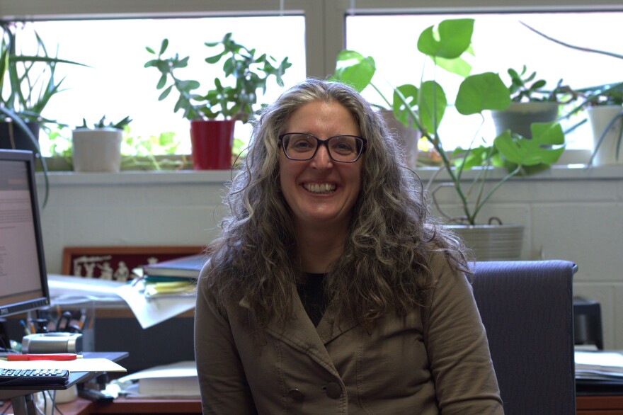 Tori Forbes is a professor in the University of Iowa Department of Chemistry studying radiochemistry and nuclear materials. She said nuclear is an attractive form of power generation because of its high power density