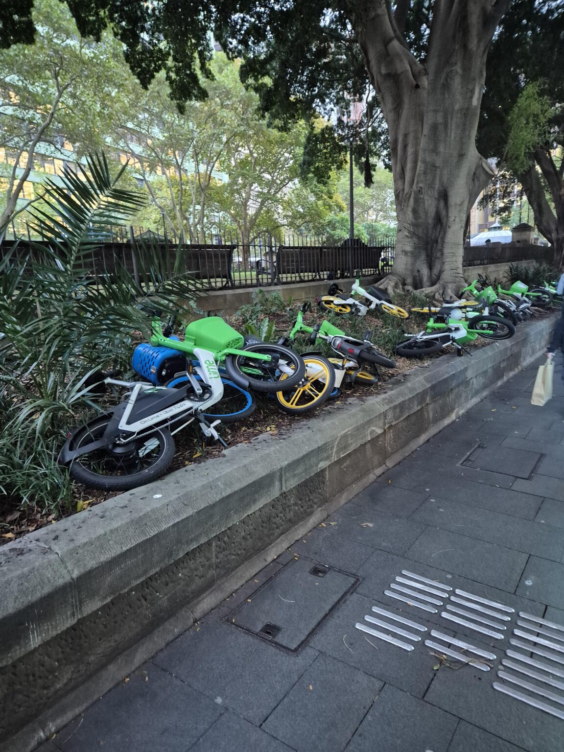 Uprising against lime bikes on Carrington street CBD