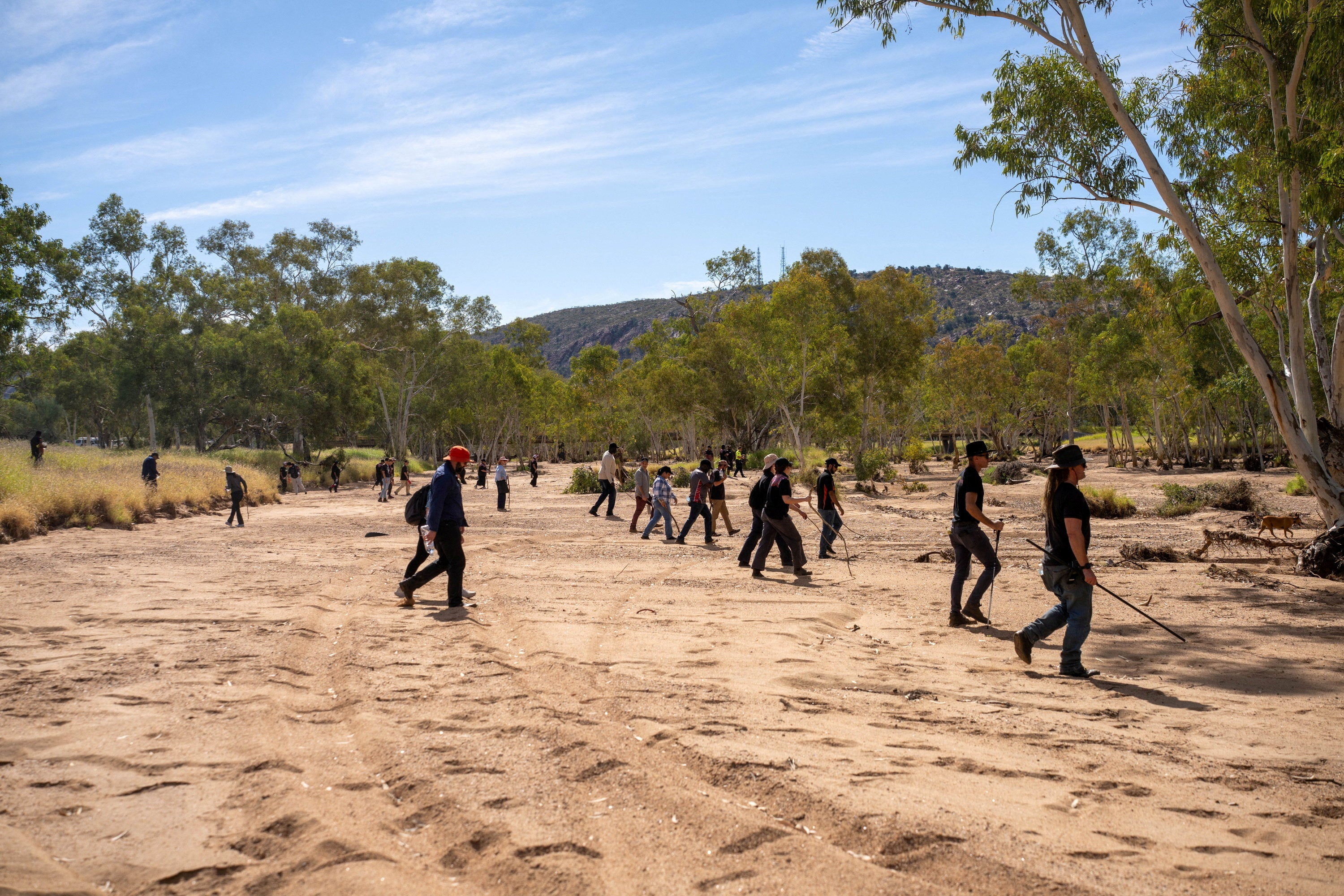 Volunteers join the police and emergency services in searching the scrubland surrounding Todd River on the third day of the search for a missing five-year-old, whose family has asked her to be referred to as 'Kumanjayi Little Baby'