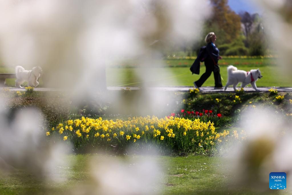 Spring flower exhibition held at Volcji Potok Arboretum near Kamnik, Slovenia-Xinhua