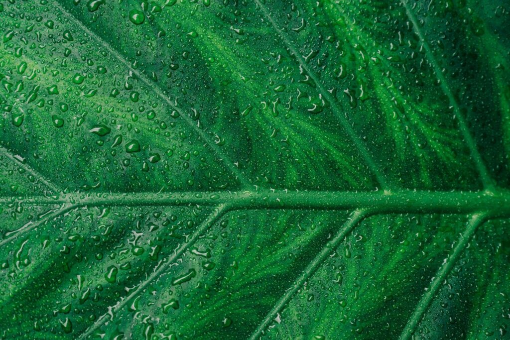 Hydrogen Recycling Gains Ground in Semiconductor Fabs