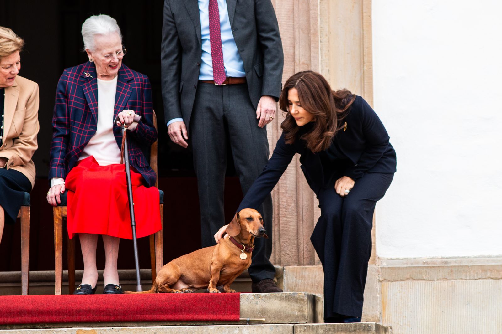 Image may contain Mary Crown Princess of Denmark Adult Person Animal Canine Dog Mammal Pet and Clothing