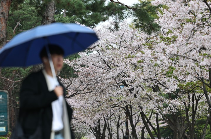 Nationwide Rain, Strong Coastal Winds Forecast Friday Morning