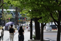 Sunny Skies in Central Region, Showers Expected in South