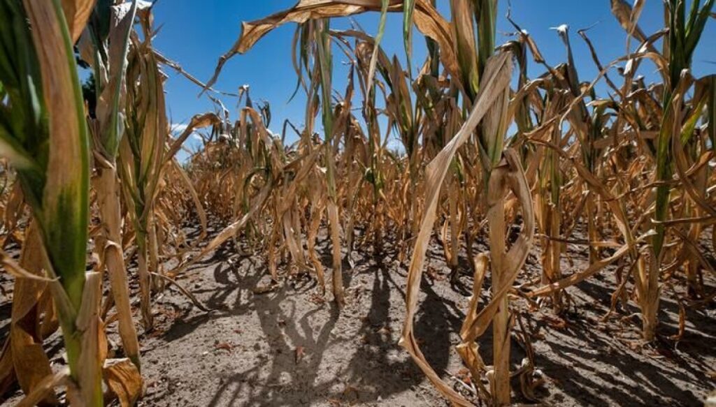 This could happen at two degrees of global warming