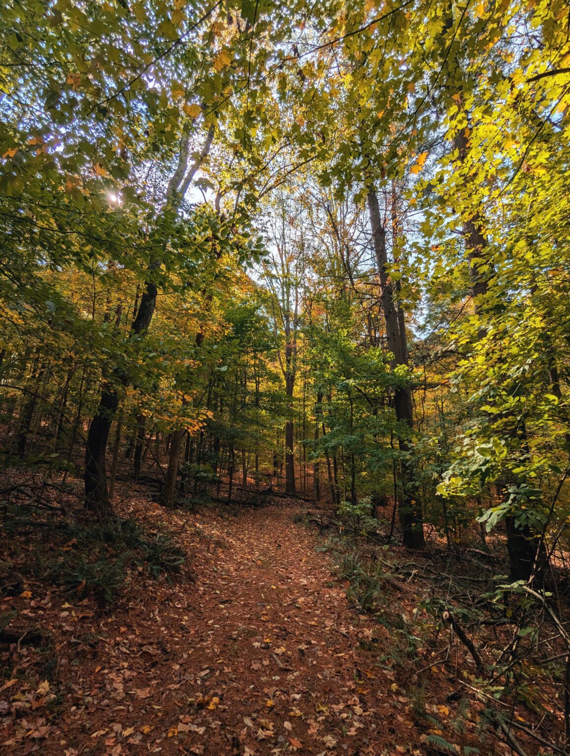 Tappan Lake, Ohio - Fall 2025