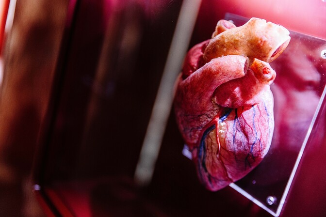Estonian data can help predict heart failure risks up to 30 years in advance | News Estonian data can help predict heart failure risks up to 30 years in advance | News