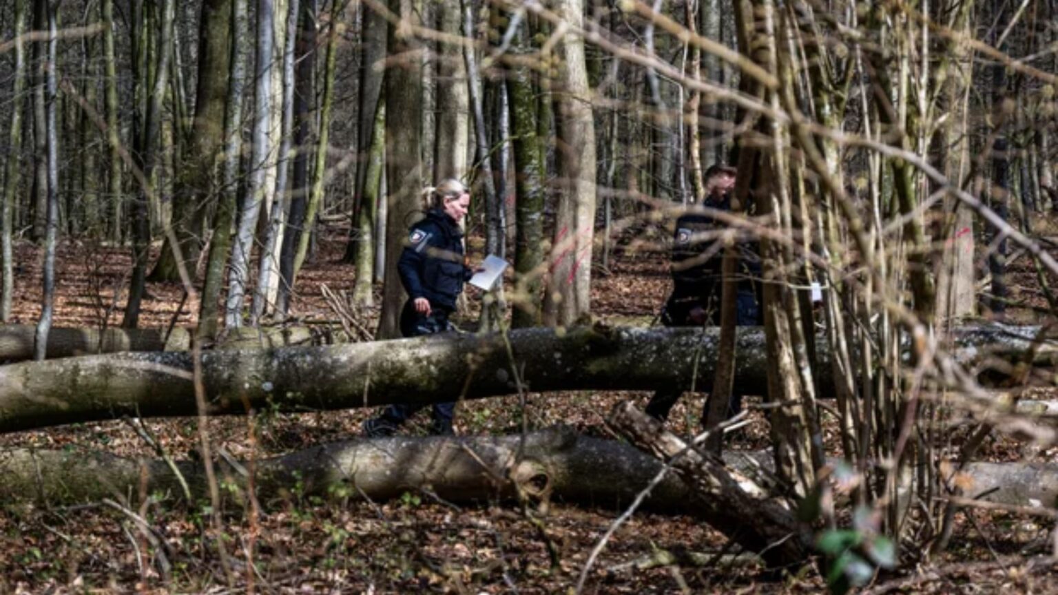 Three killed, including baby, as tree falls during Easter egg hunt in Germany Three killed, including baby, as tree falls during Easter egg hunt in Germany