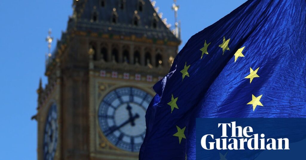 Labour should hold a referendum on whether Britain should rejoin the EU | Brexit