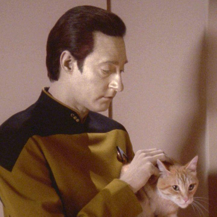 Truly the most beautiful Data