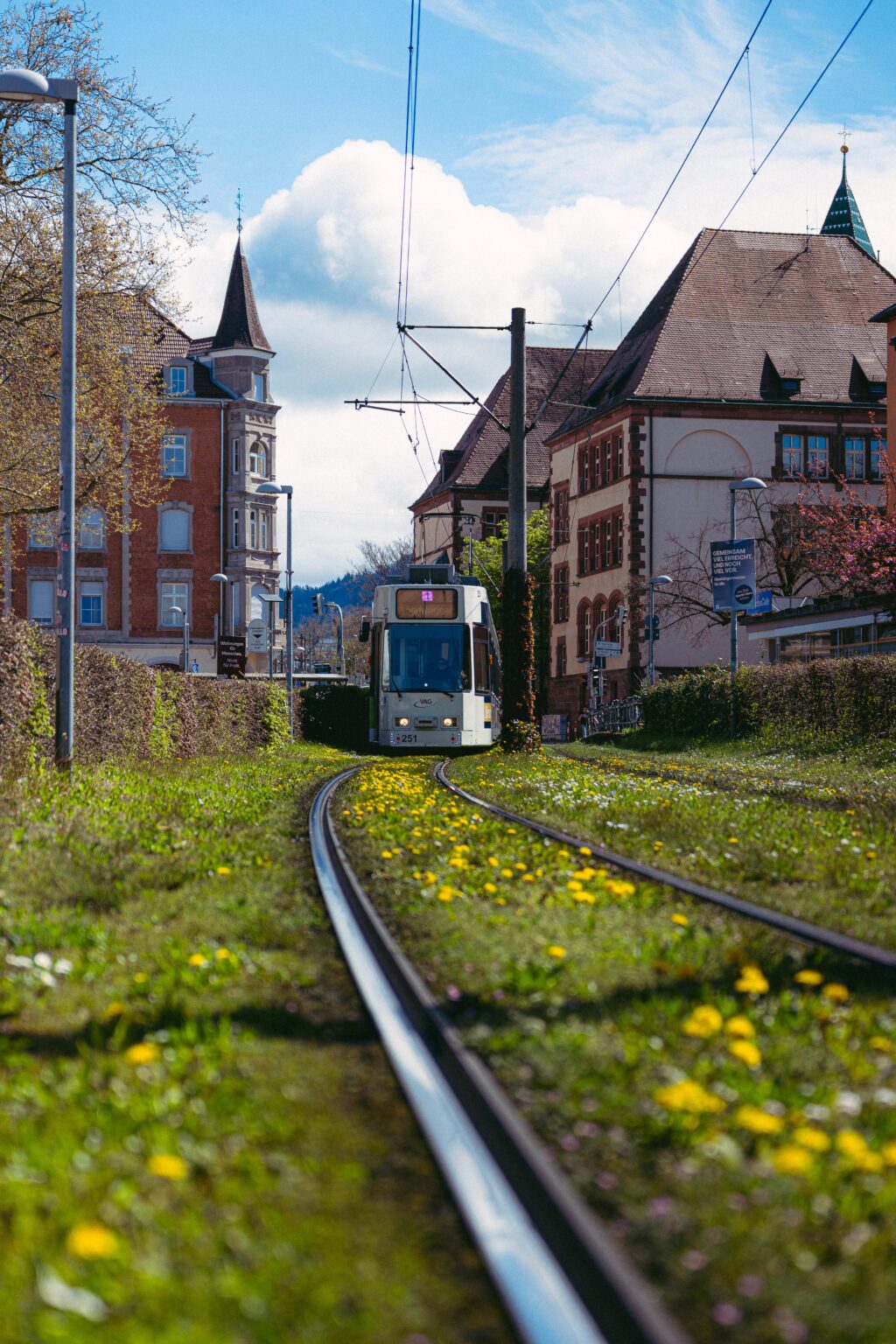 Spring in Freiburg