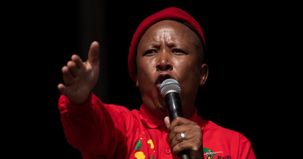 A look at the South African politician sentenced to jail on gun charge who described Trump as Hitler :: WRAL.com