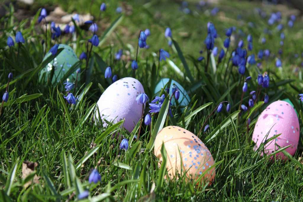A group of four painted Easter eggs sitting in the grass.