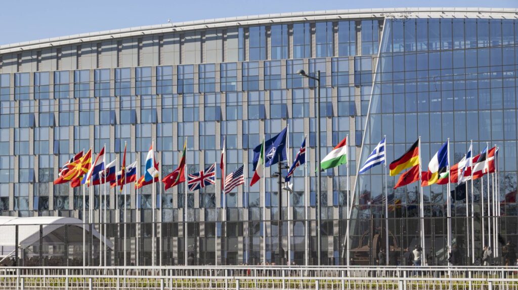 Slovenia parliament speaker proposes NATO exit referendum