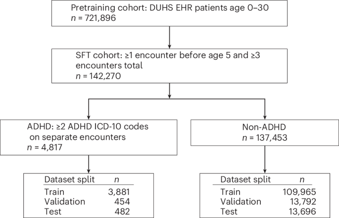 Early attention deficit hyperactivity disorder prediction from longitudinal electronic health records