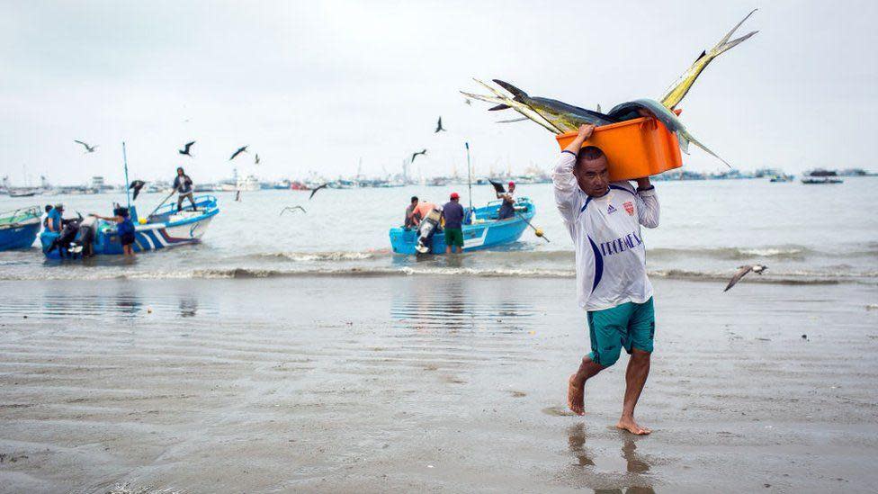 A fisherman carries freshly caught tuna at La Poza beach in Manta, Ecuador's largest seaport. He is wearing a white football shirt and turquoise shorts, with bare feet as he walks across the wet sand.
