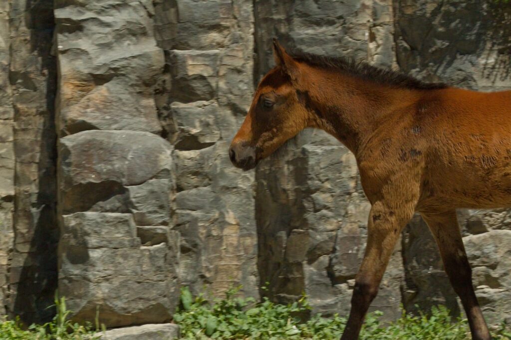 Photos from my roadtrip around Yerevan, 2024