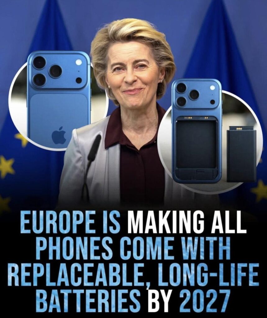 This is what everyone needs!