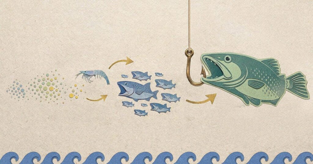 Climate Change Is Turning Algae Underlying the Food Chain Into Junk Food