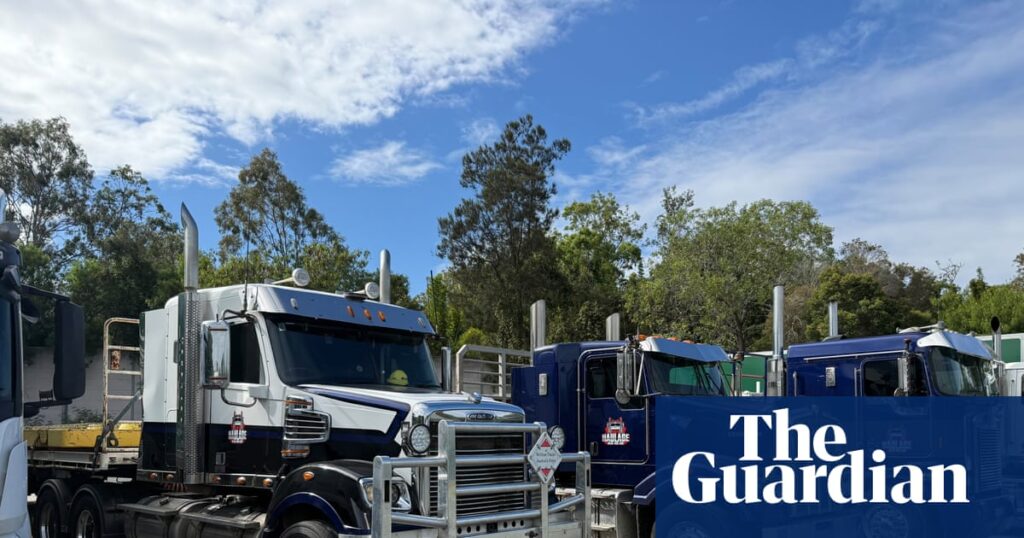 Truckie boss says ‘people are getting desperate’ as siphoned diesel seen as sign of ‘dire’ crisis | Petrol prices