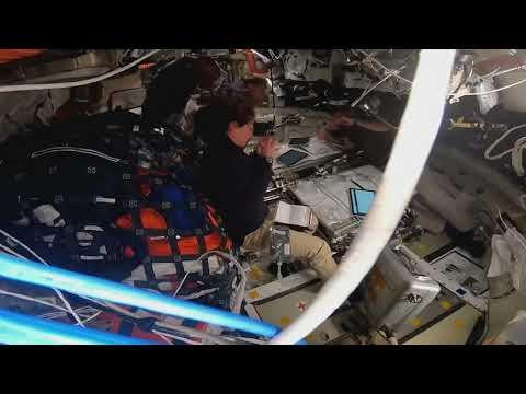 Just after breaking the record for distance from Earth, the Artemis II Crew makes a special request to name two lunar craters.