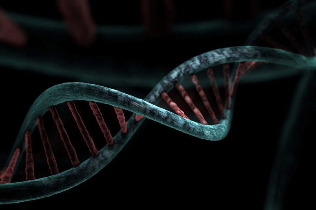 Medical Xpress: Norway's 'Oslo patient' reaches HIV remission after rare stem cell transplant donated by brother