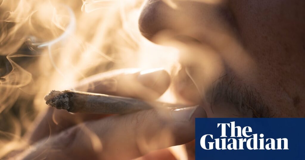 High times or low blows? Experts fail to clear air over German drug legalisation | Cannabis