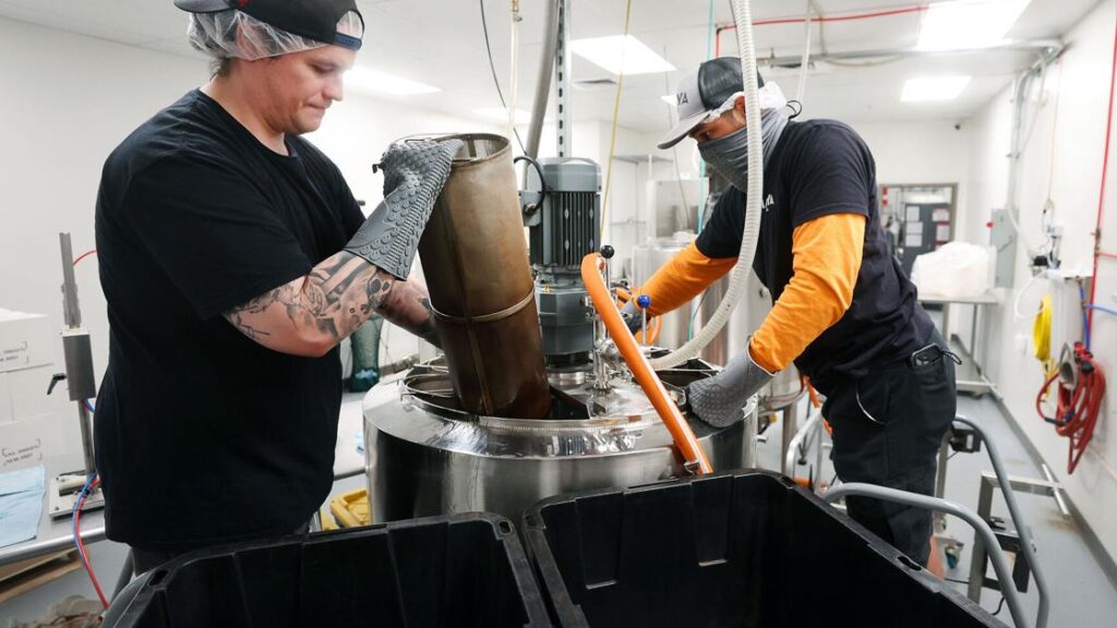 Maya Tea steeps into the mocktail business