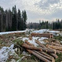 3 E Network Announces Progress Update on Finland AI Data Centre Project: Site Clearance Completed and Earthworks Underway | Press Releases 3 E Network Announces Progress Update on Finland AI Data Centre Project: Site Clearance Completed and Earthworks Underway | Press Releases