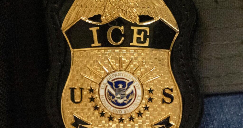 85-year-old widow is released from US custody, returns to France amid messy family dispute | National News