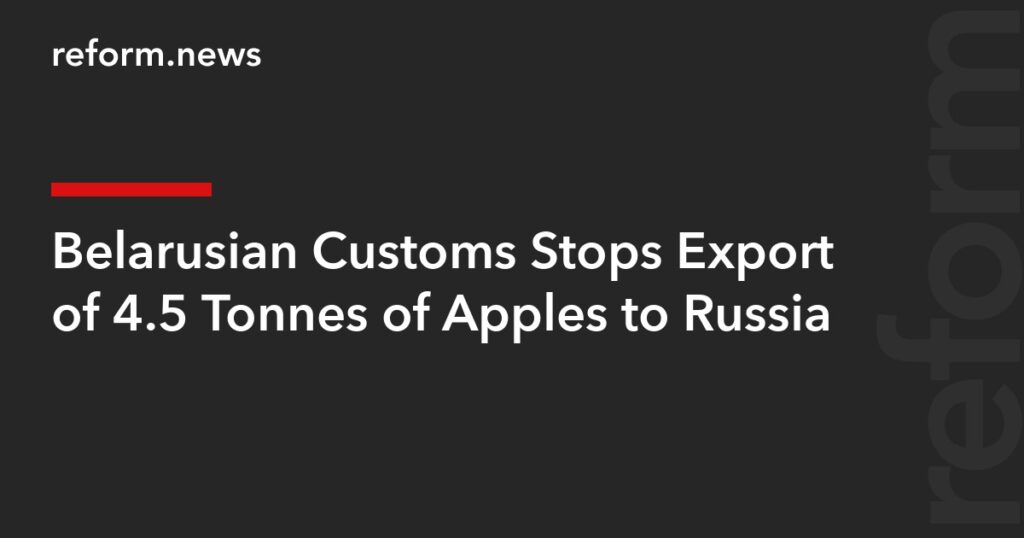 Belarusian Customs Stops Export of 4.5 Tonnes of Apples to Russia – REFORM.news (formerly REFORM.by) Belarusian Customs Stops Export of 4.5 Tonnes of Apples to Russia – REFORM.news (formerly REFORM.by)
