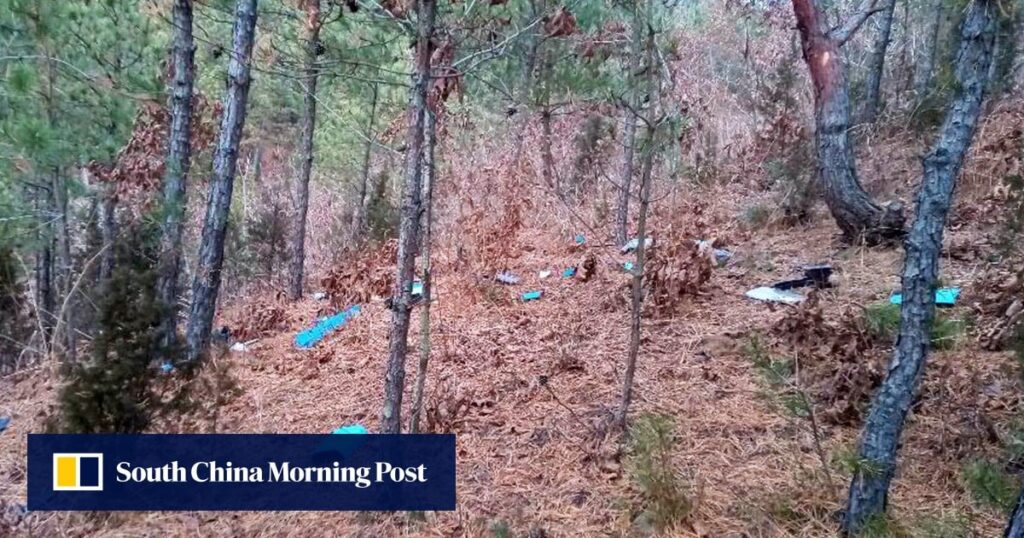 South Korea’s Lee regrets drones sent to North: ‘irresponsible and reckless’
