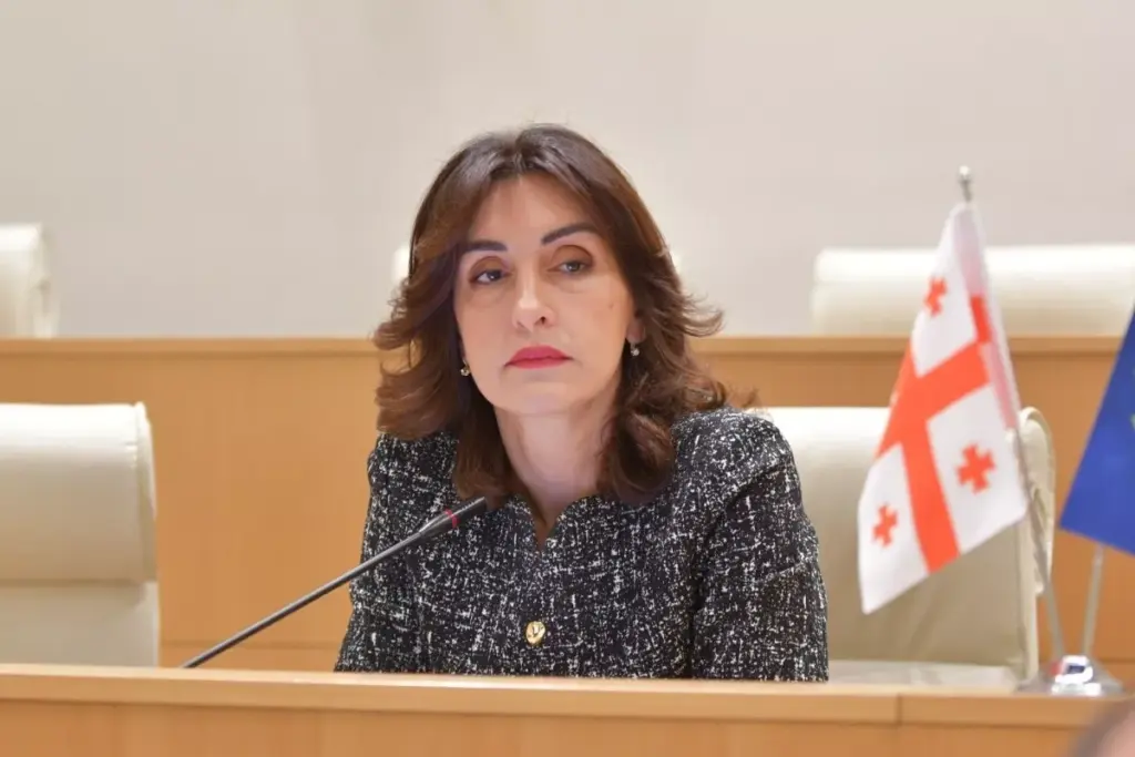 Georgia prioritises ties with Azerbaijan, Türkiye, and Armenia, FM says