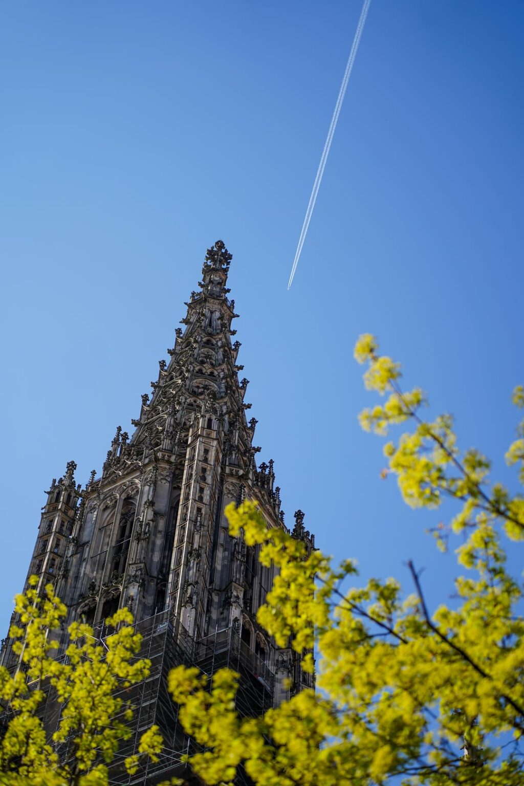 Ulm