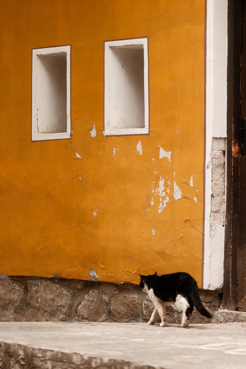 Come to warm Plovdiv