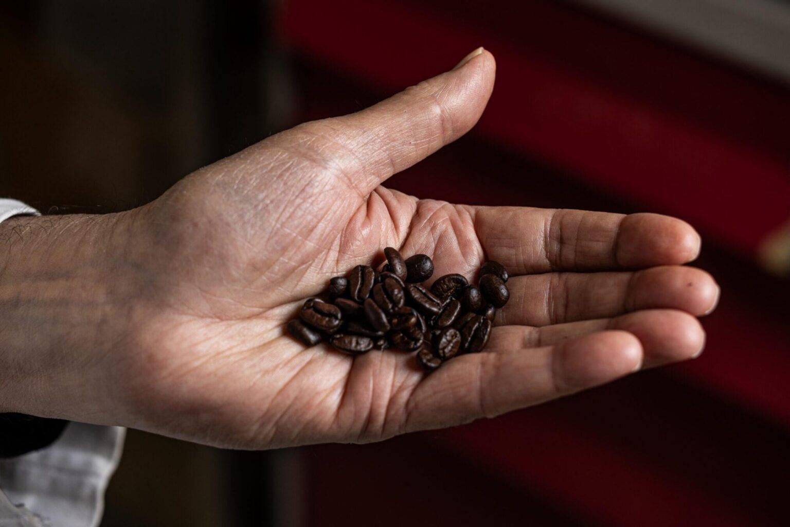 Coffee may help protect the body from aging: new research suggests that compounds in coffee may work, in part, by activating a receptor in the body known as NR4A1 — a protein increasingly recognized for its role in aging, stress response and disease