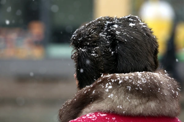 And what about May - is there snow too? Latvian meteorologists respond...