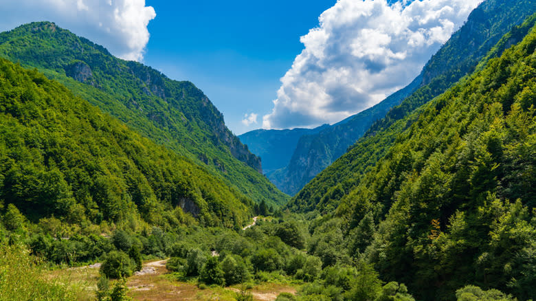 Steep forest-covered slopes of Rugova Canyon