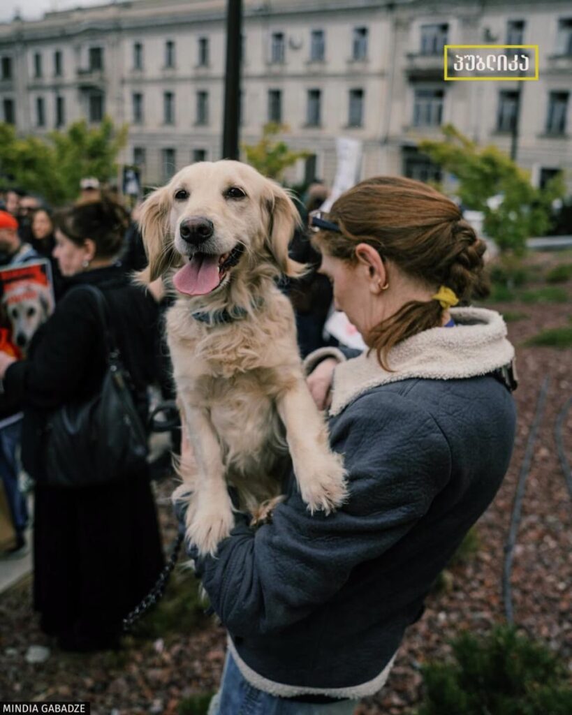 Animal rights activists held another protest outside the Government Administration building in Tbilisi