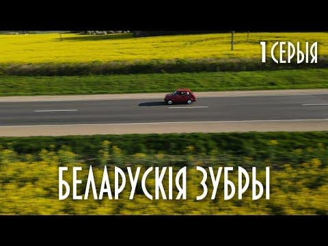 Modern Belarusian cinema. "Belarusian bison" 1 series.