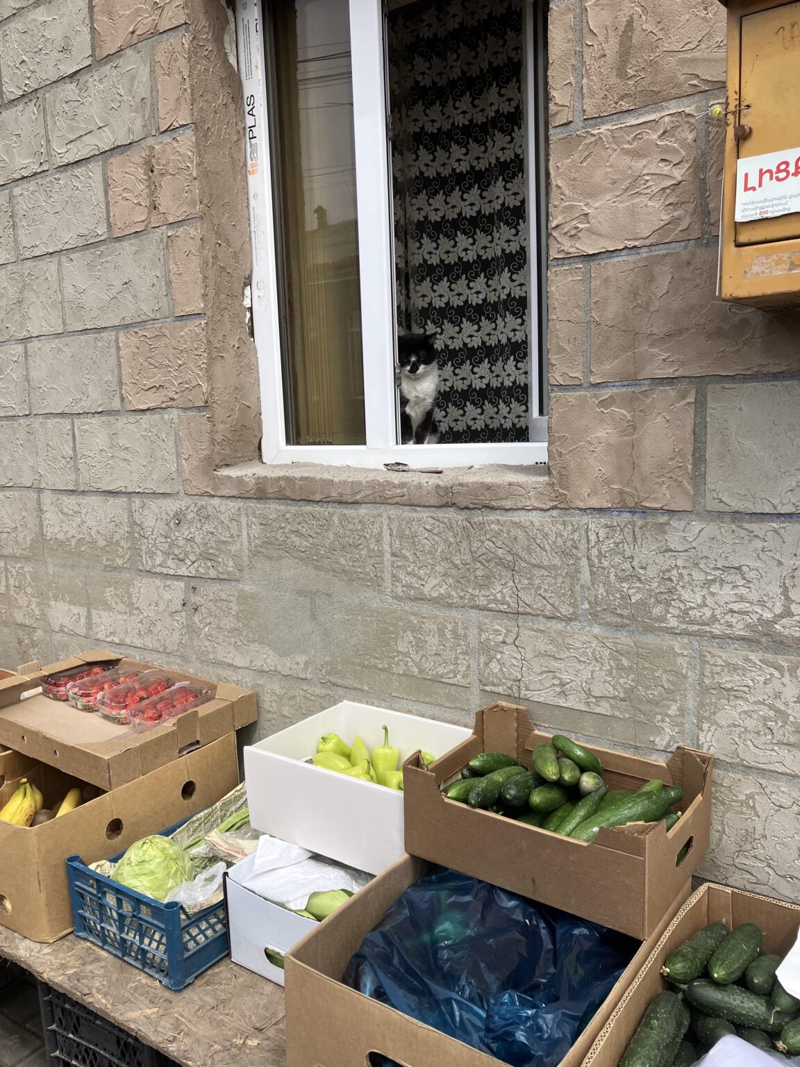 Friendly veggie seller from Gyumri