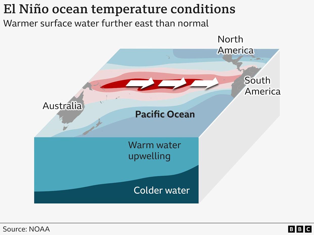 Infographic showing how in El Niño conditions, warmer ocean surface water tends to be further east than usual, on an area of the Pacific ocean stretching from Australia and Papua New Guinea to the west coast of South and Central America.