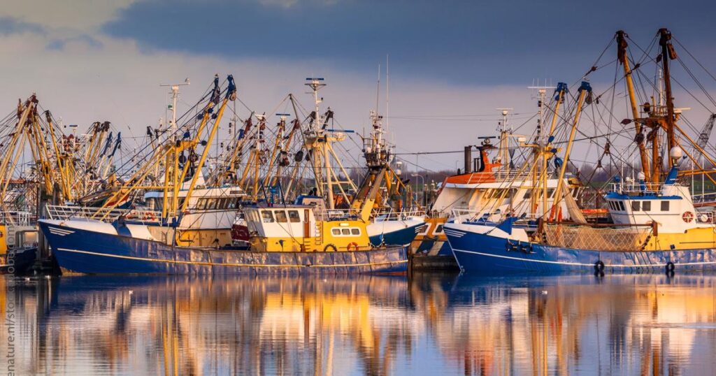 New study on fishing fleet capacity and sustainability