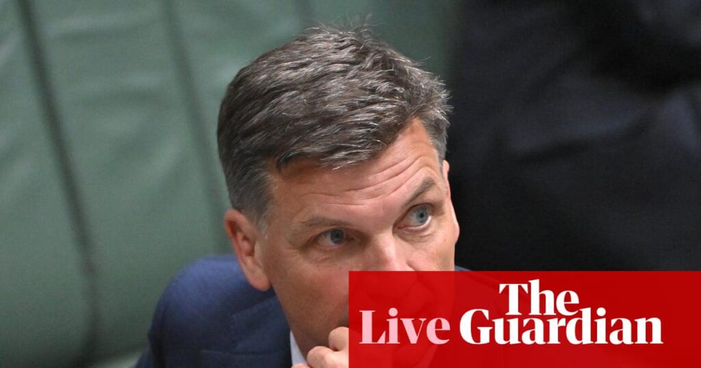 Angus Taylor to speak to nation after saying Albanese’s address ‘could have been a social media post’