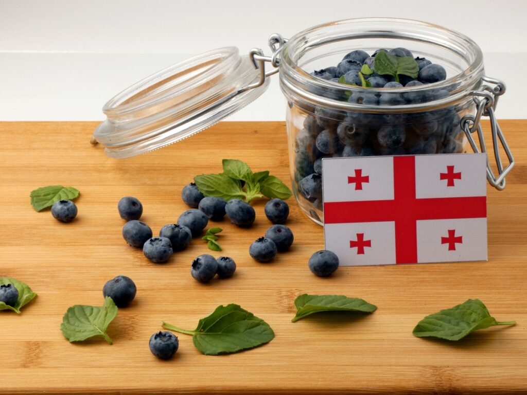 Georgian blueberries break into the global market as a five-month global supplier