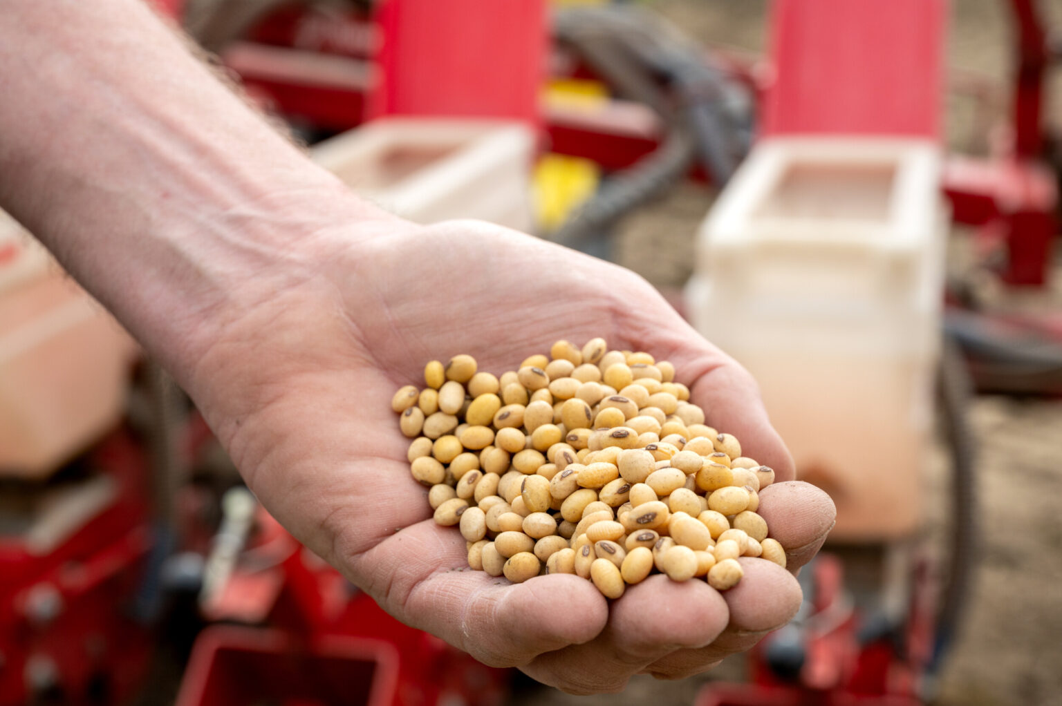 The EU remains dependent on soy imports