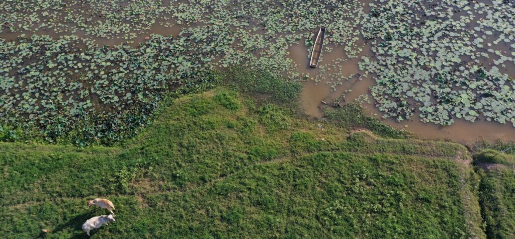 Carlsberg and WWF Denmark expand water partnership across Asia